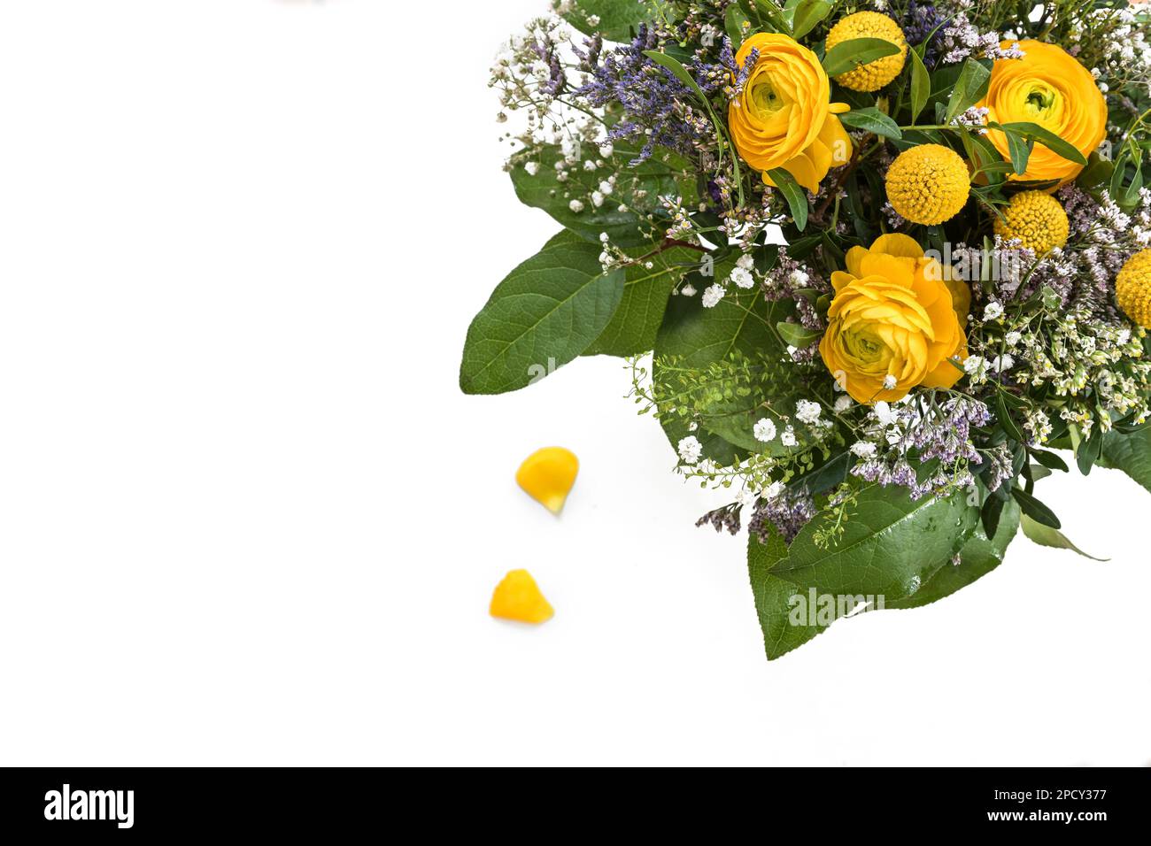 Spring flower bouquet in yellow, blue and green seen from above as a corner background isolated on a white background with large copy space, useful as Stock Photo