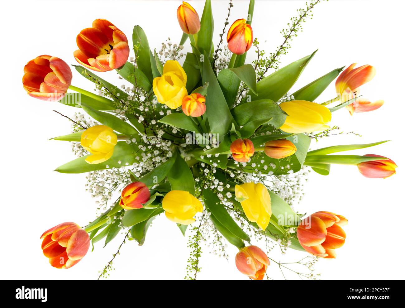 Spring flower bouquet with yellow and red tulips, high angle view from above, white background, holiday gift or greeting card, selected focus, narrow Stock Photo