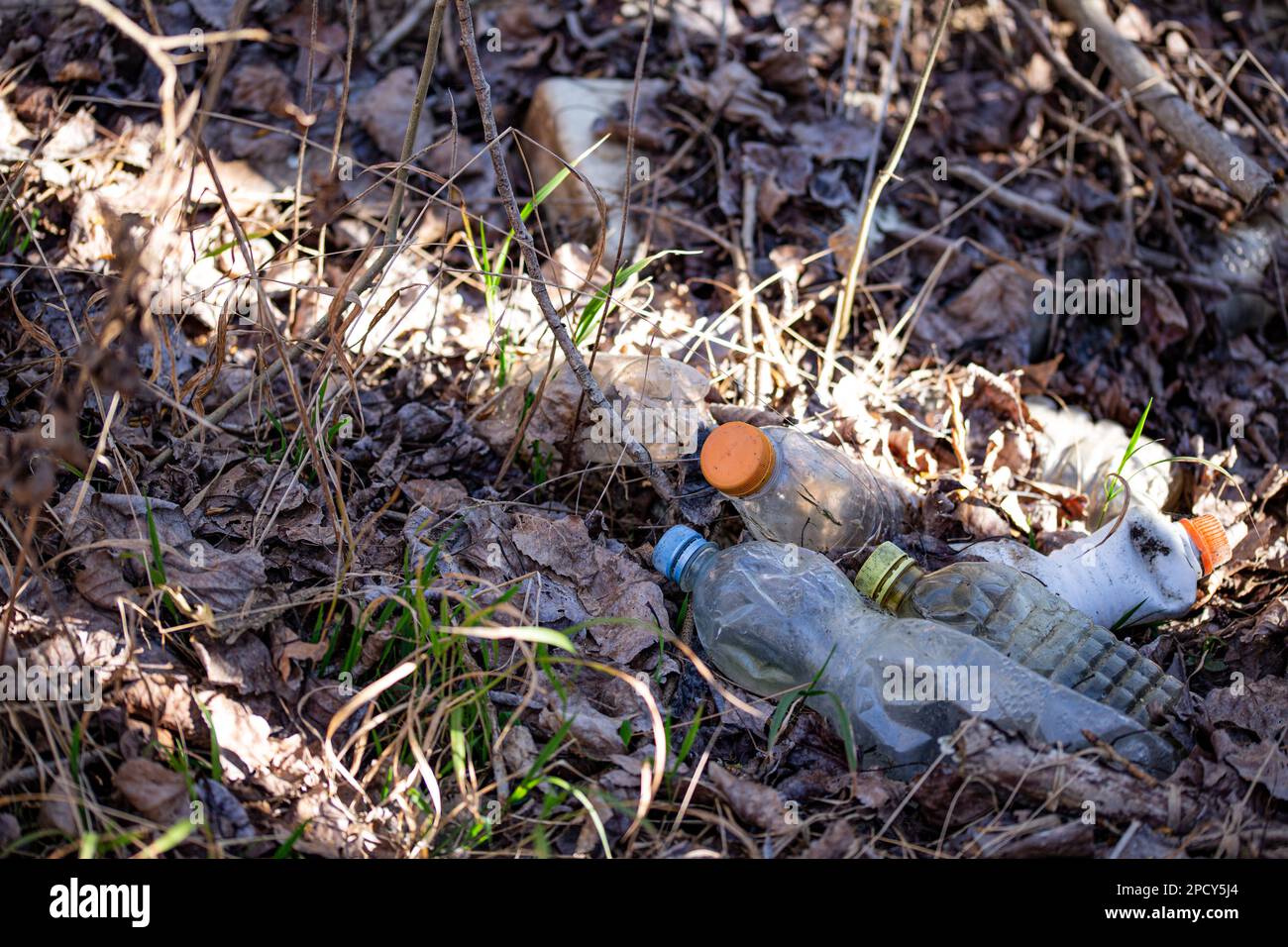garbage in the woods Stock Photo Alamy