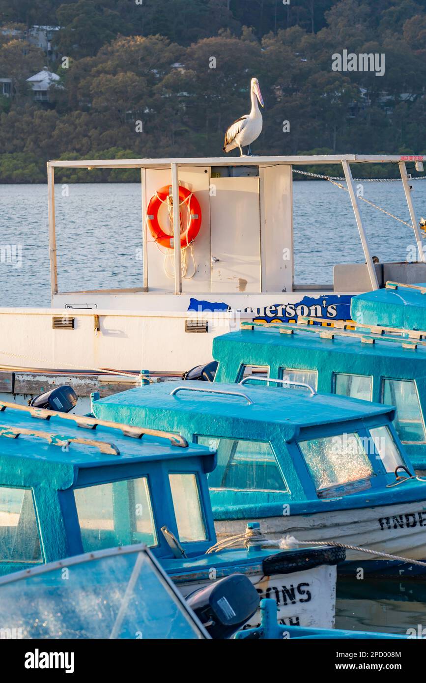 Small half cabin hire boats from Andersons Boat Hire near Ettalong