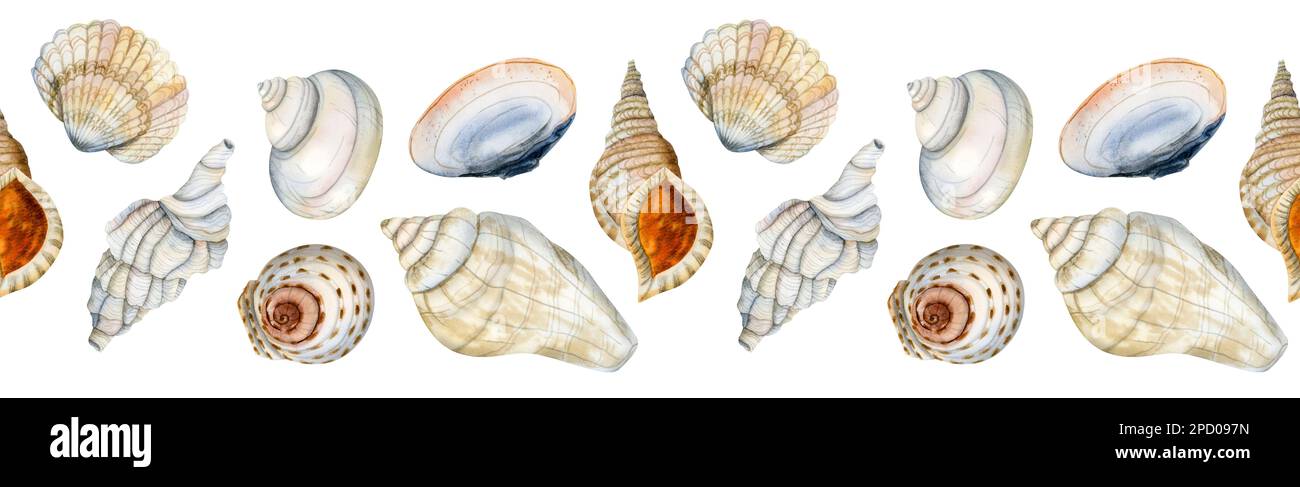 Watercolor seamless horizontal border with nautical seashells on white background in blue, orange, beige colors. Stock Photo