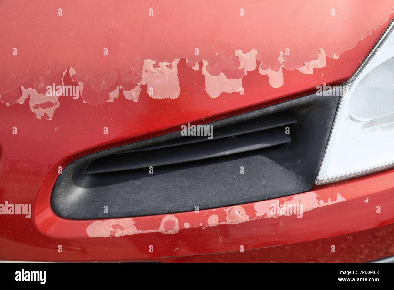 Car hood paint coat sun damage. Peeling sun damaged paint surface in a 15 year old compact red
