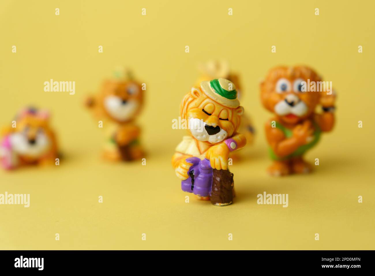 Tyumen, RussiaFebruary 15, 2023 Collection of lion. Hobby