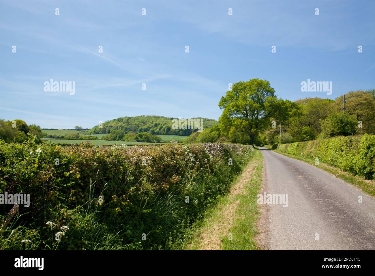 Distant Country A peaceful summer landscape scene with a country lane leading into the ...
