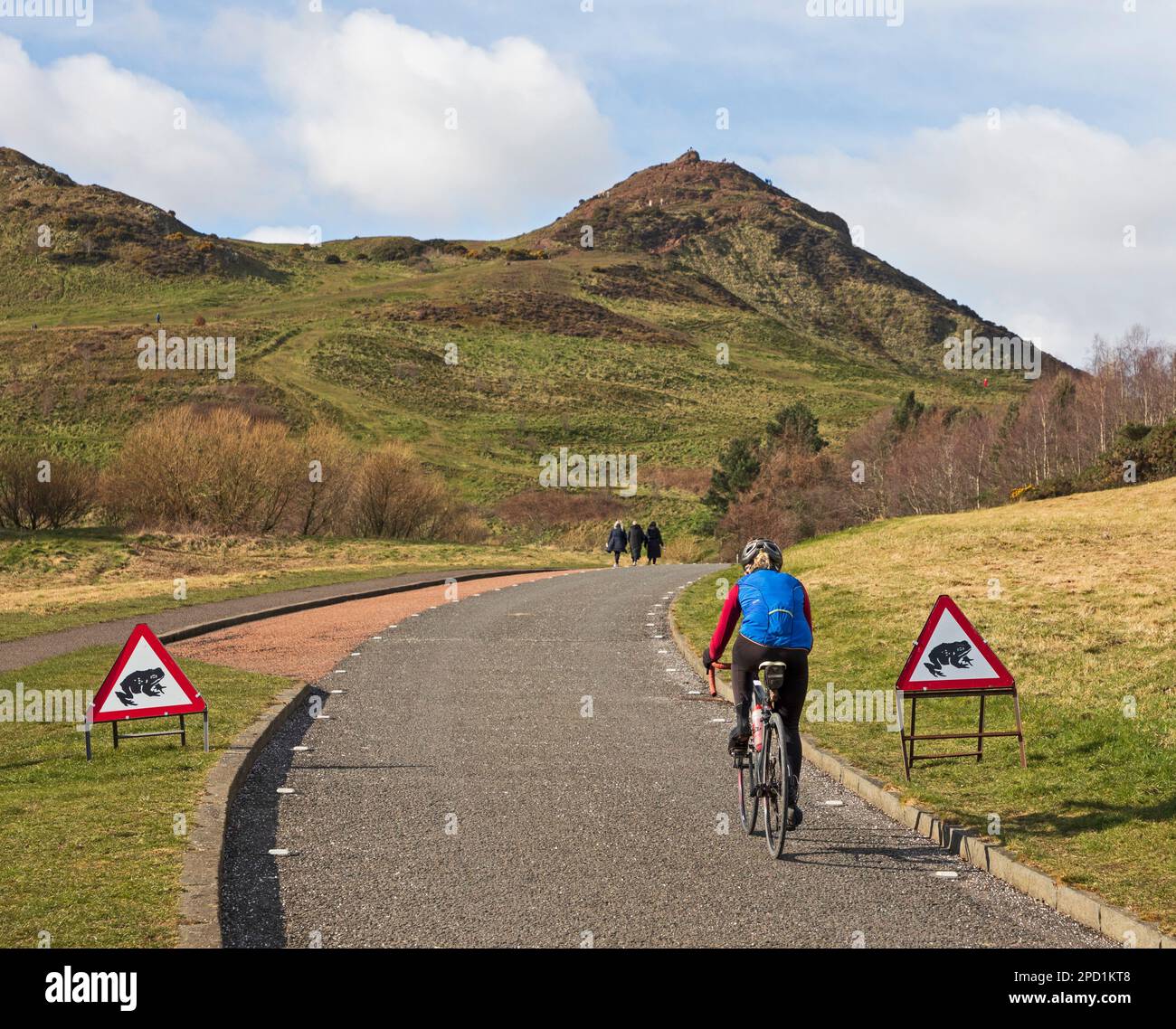 Cold and cloudy in Holyrood Park, Edinburgh, Scotland, UK. 14th March 2023. Temperature of 5 degrees centigrade with wind chill making the real feel of 0 degrees. Pictured: A cyclist in a sunny spell passing a warning sign for toads on the road, anticipatiing their annual migration from the hillside on Arthur's Seat down to the Dunsapie Loch which is one of three lochs in the Holyrood Park Credit: Archwhite/alamy live news. Stock Photo