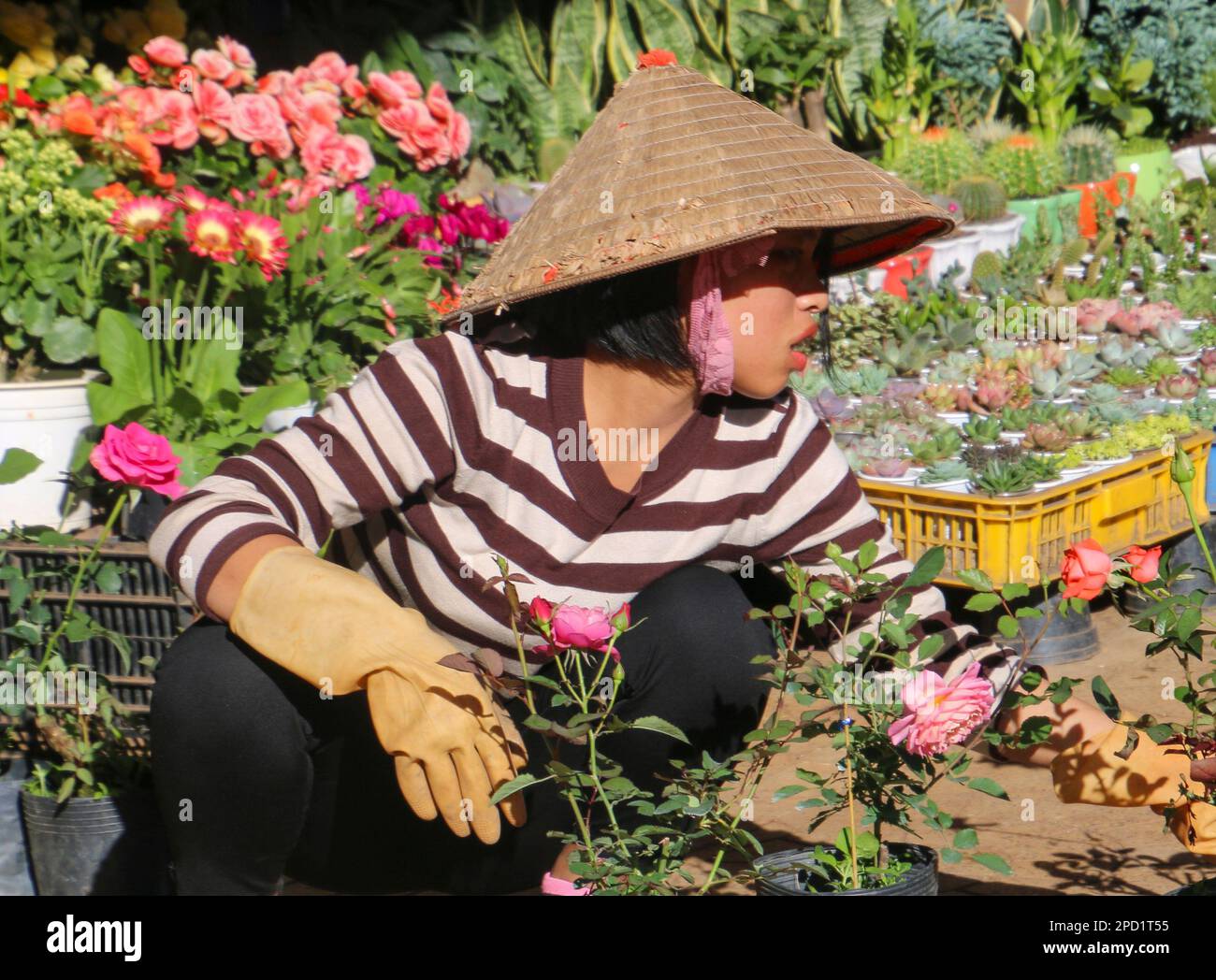 Vendor in the Dalat Market, Vietnam Stock Photo
