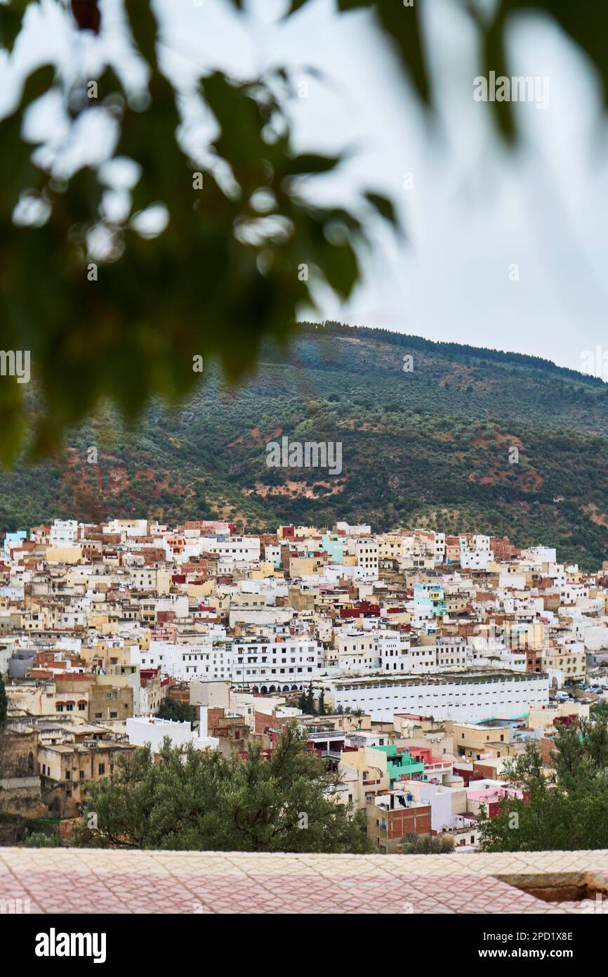 Tree's branch with an old mountain town in the background Stock Photo