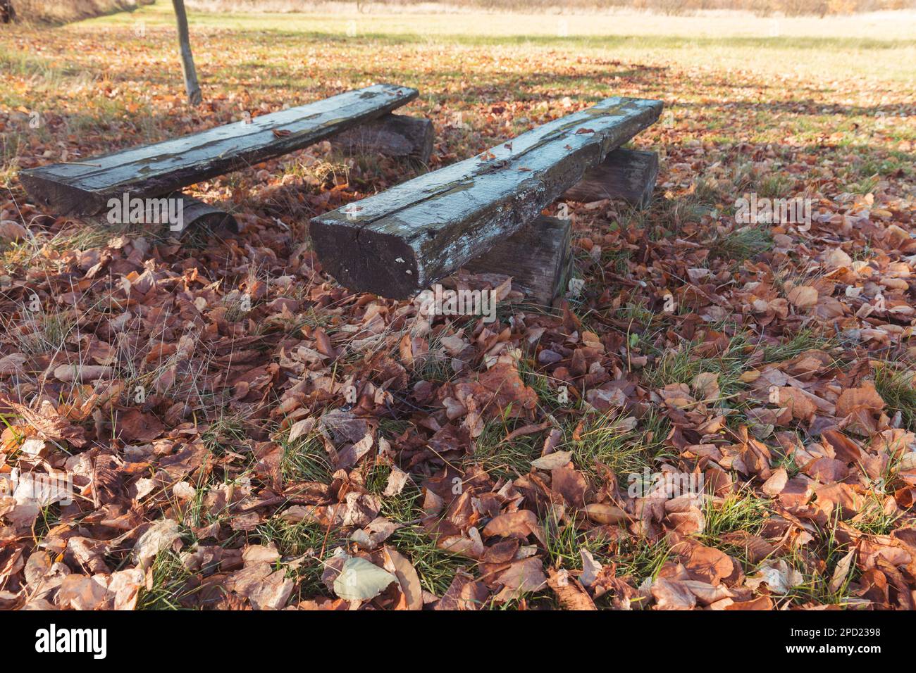 Two wooden benches in autumn nature surroundings. Stock Photo