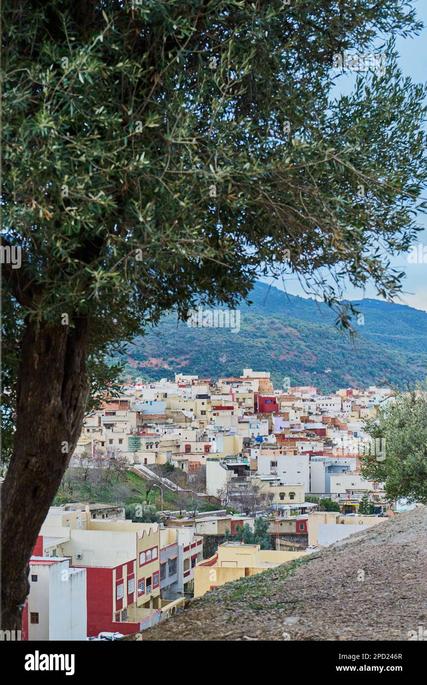 Tree with an old Moroccan mountain town in the background in a rainy day Stock Photo