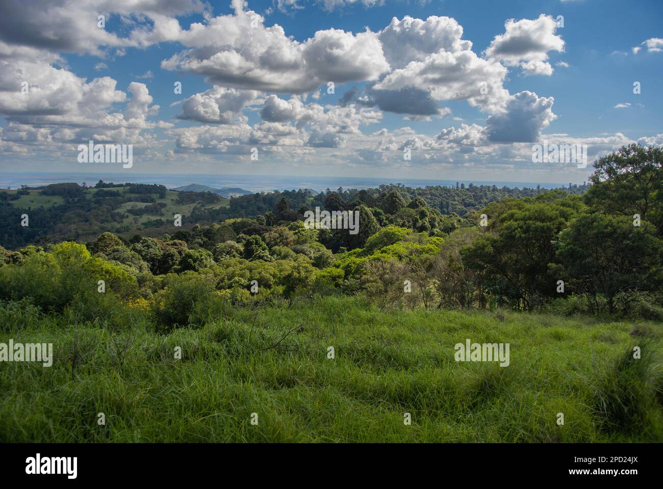 The beautiful views from the top of Mount Mowbullan at the Bunya