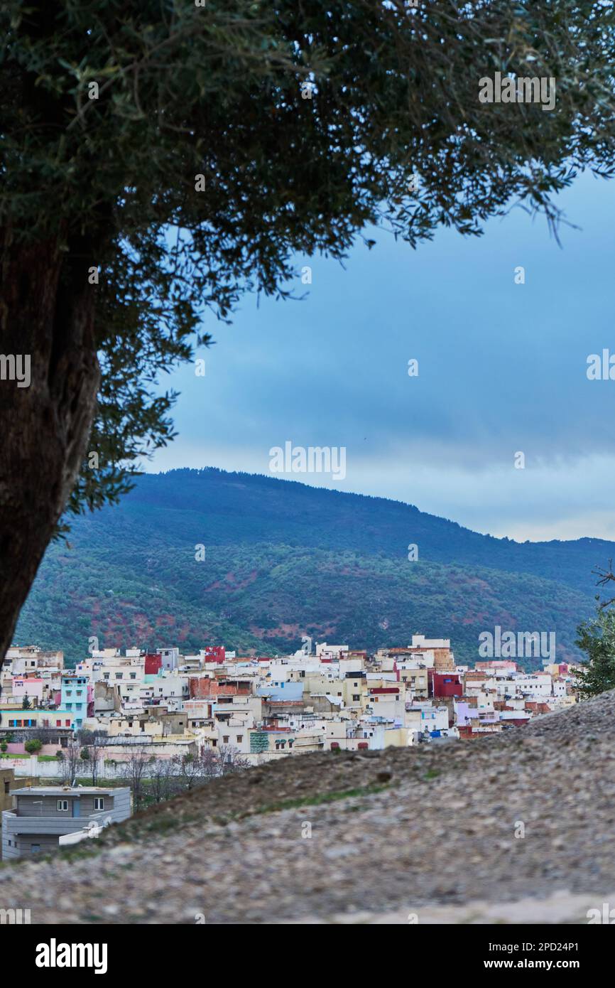 Tree with an old Moroccan mountain town in the background in a rainy day Stock Photo