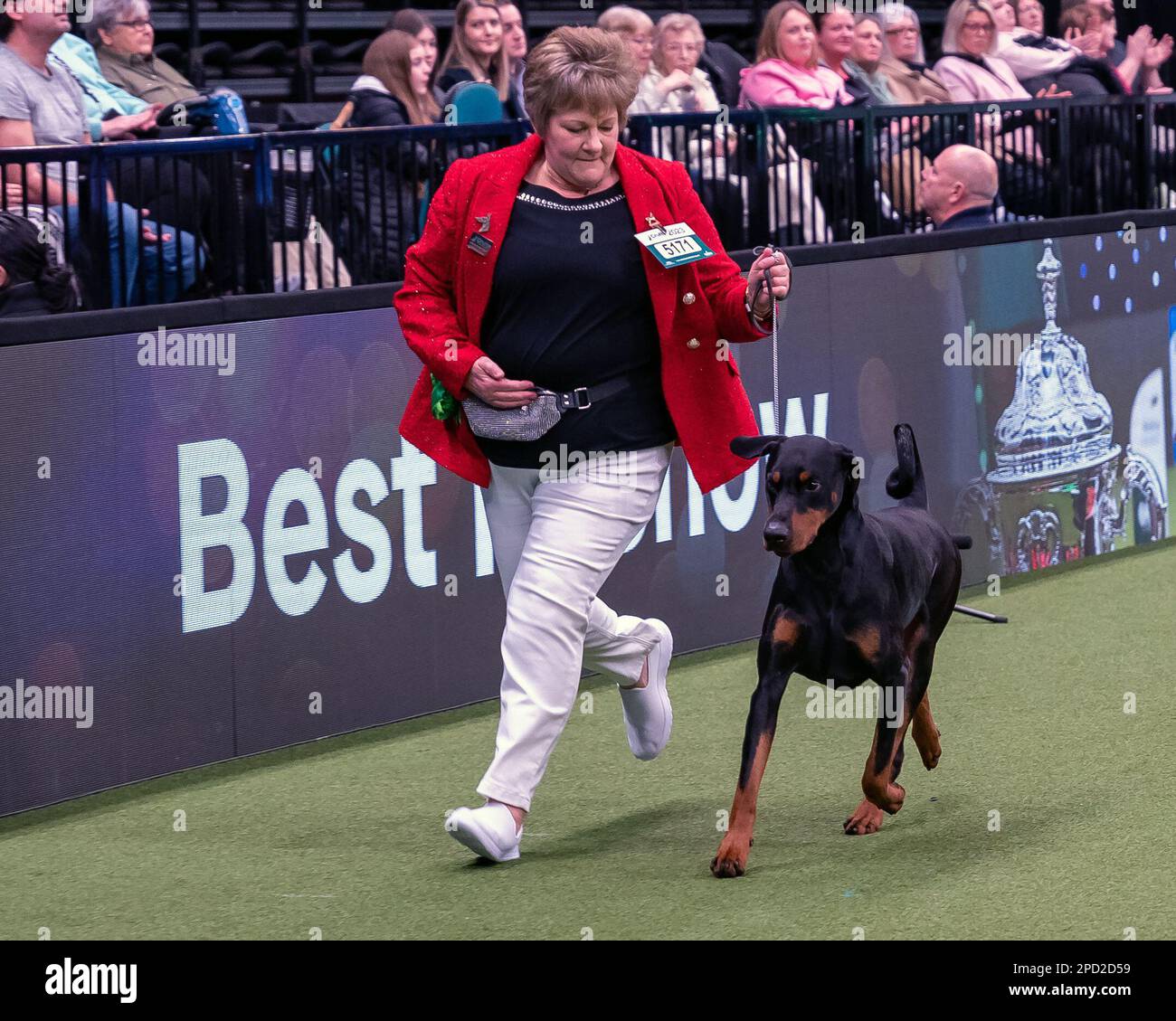 Archie a Dobermann from Chichester West Sussex and his owner