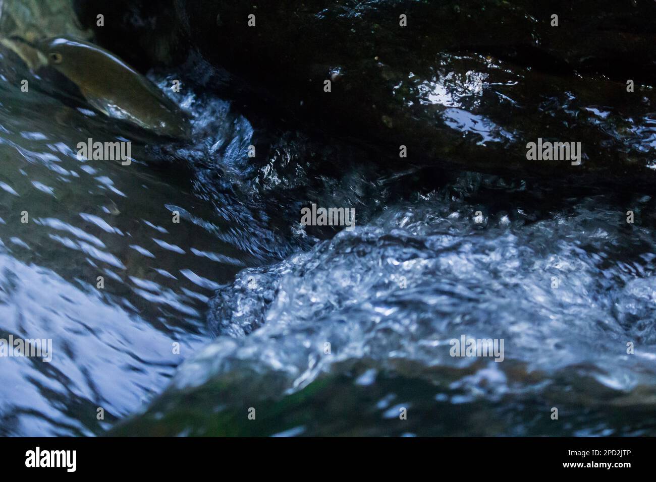 River flows along gorges hi-res stock photography and images - Alamy