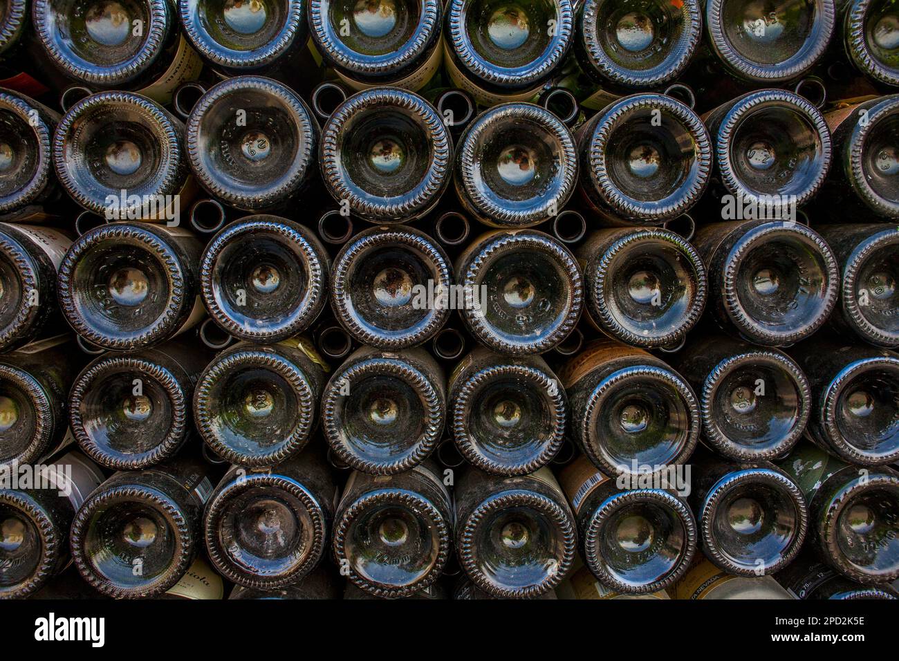 Bottles of champagne storage to recycle, recycling center Stock Photo