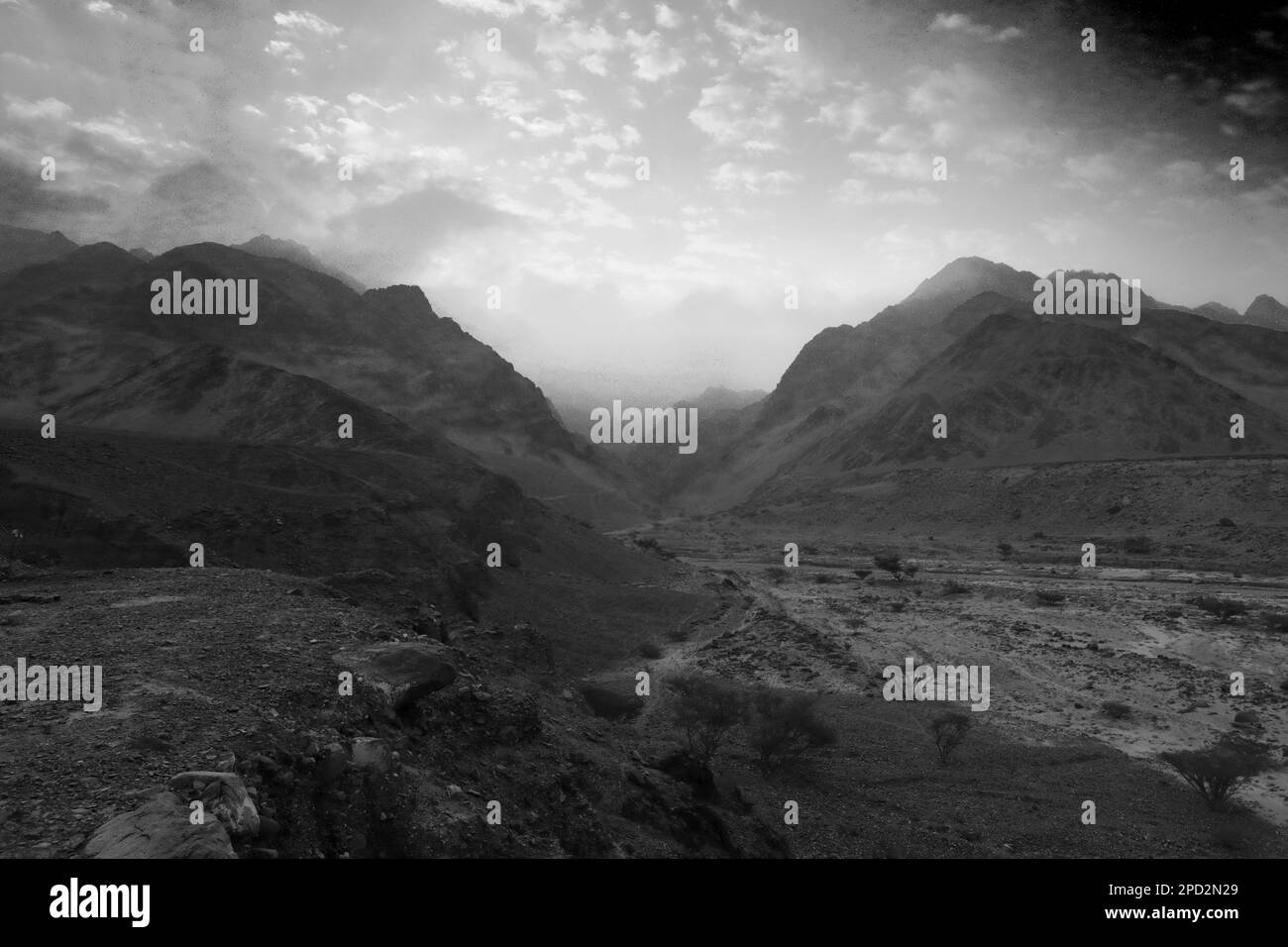 Dawn Colours in Wadi Barwas, Wadi Araba Desert, southcentral Jordan, Middle East Stock Photo