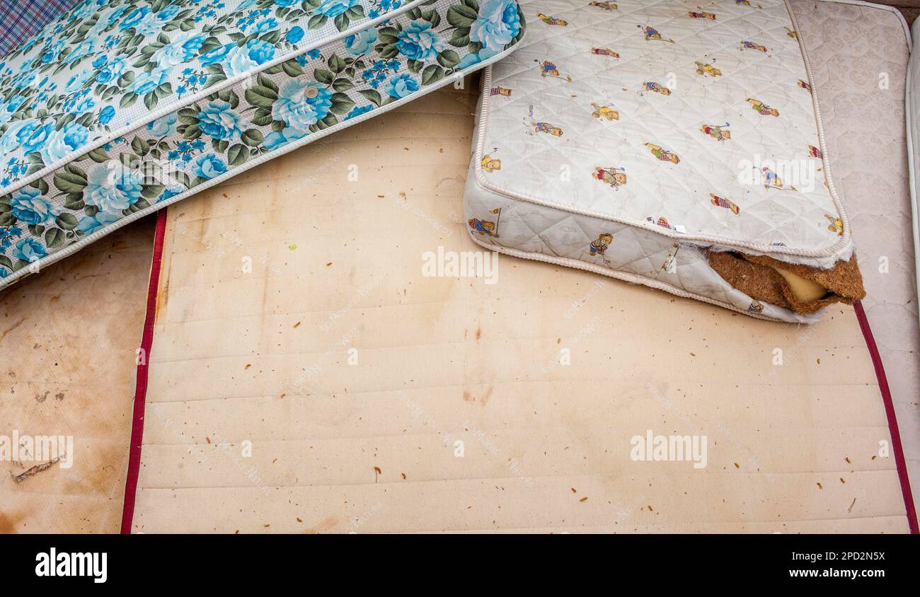 mattresses storage to recycle, recycling center Stock Photo Alamy