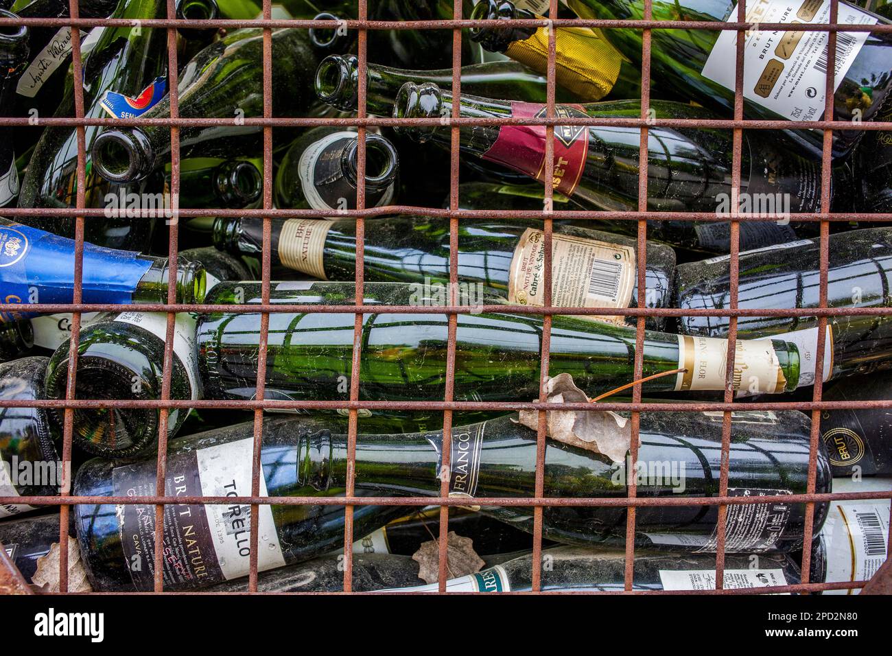 Bottles of champagne storage to recycle, recycling center Stock Photo