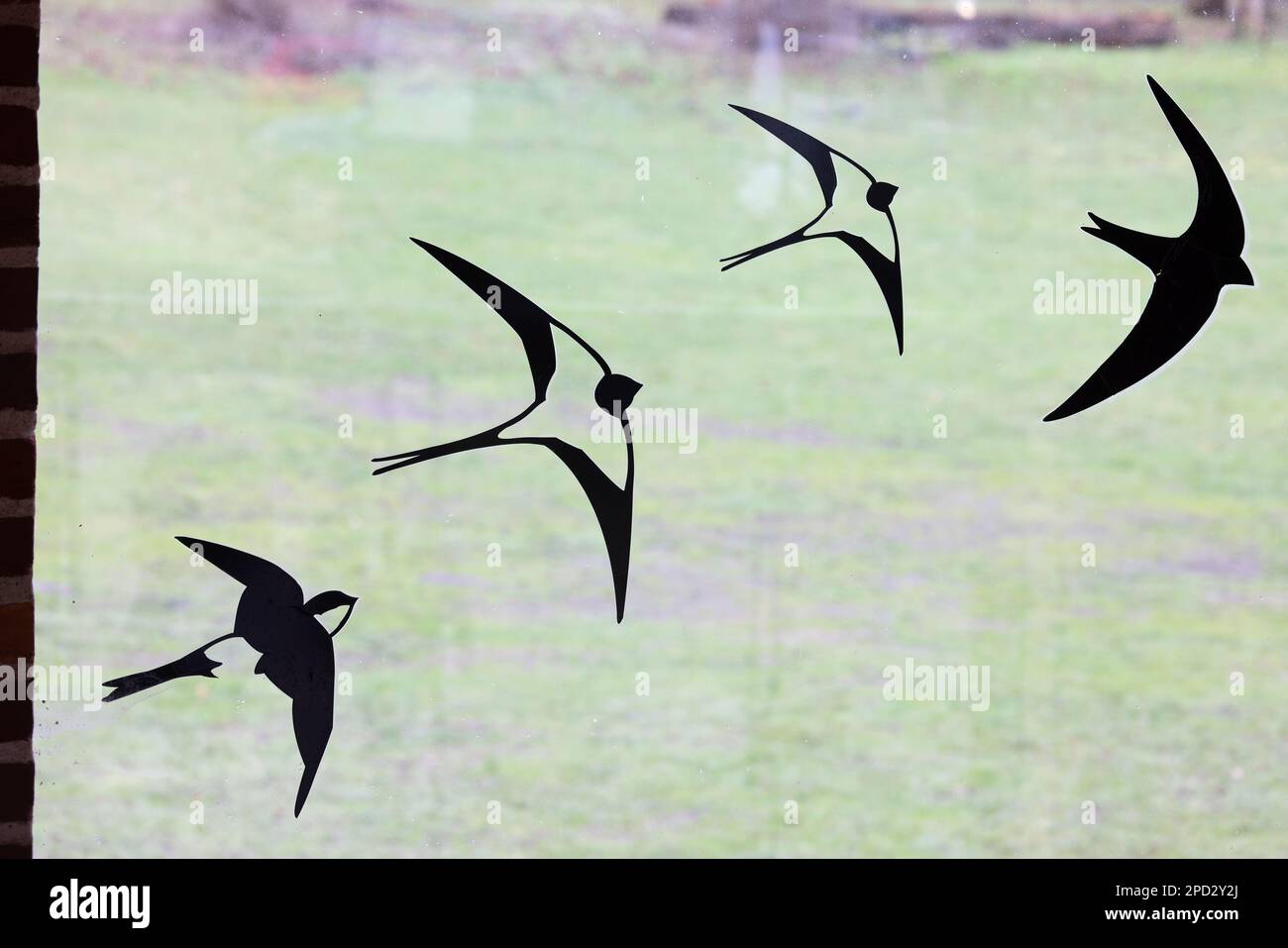 Bird deterrent window stickers Whitlingham CP Norfolk GB UK January