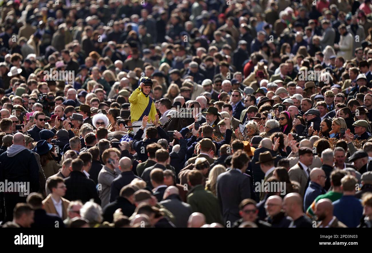 Marine Nationale and jockey Michael O'Sullivan make their way back in through the crowds after winning the Sky Bet Supreme Novices' Hurdle on day one of the Cheltenham Festival at Cheltenham Racecourse. Picture date: Tuesday March 14, 2023. Stock Photo