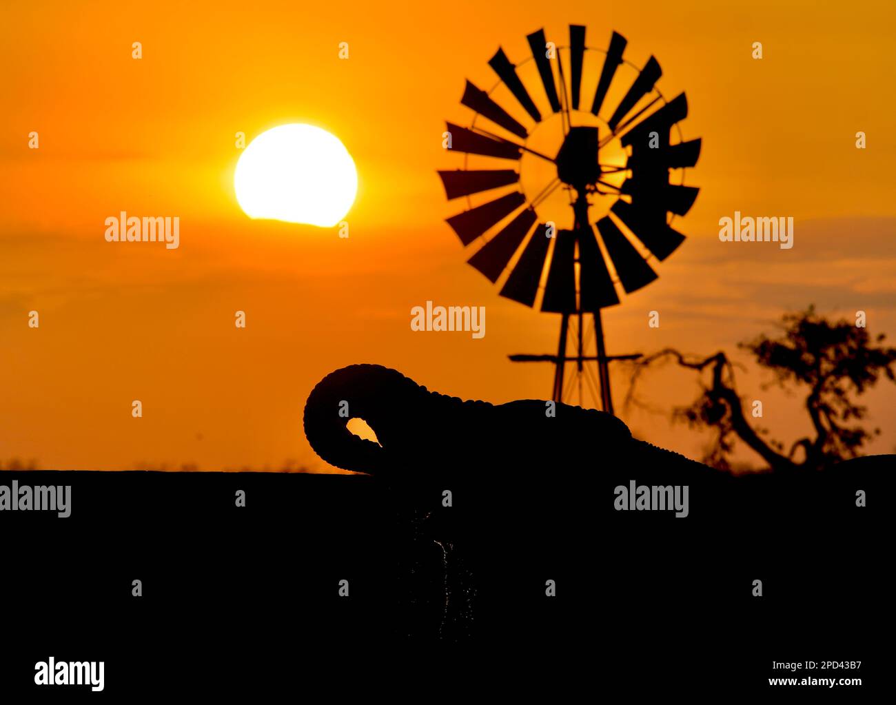 Kruger national park, South Africa Stock Photo - Alamy