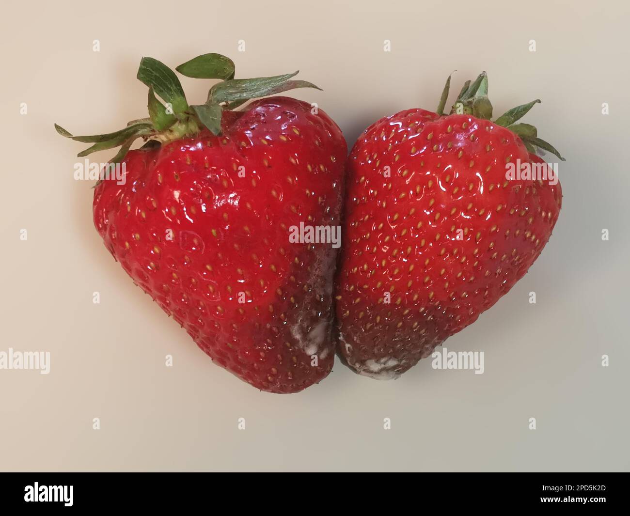 Verschimmelte Erdbeeren Stock Photo