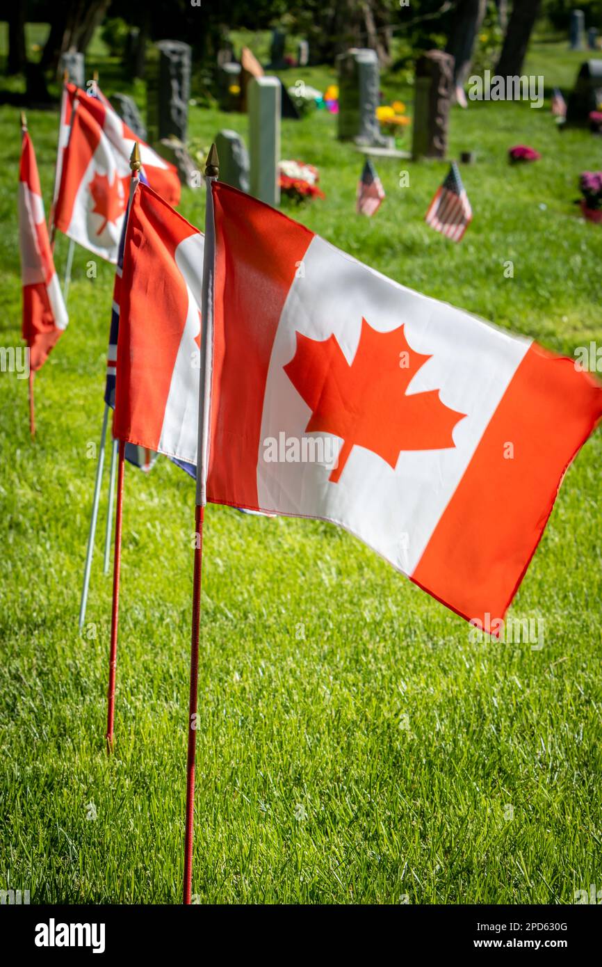 Flags of Canada decorating grave markers of Canadian servicemen and