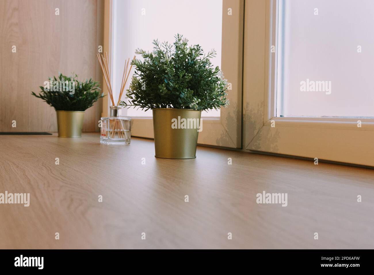 Luxurious plants hi-res stock photography and images - Alamy