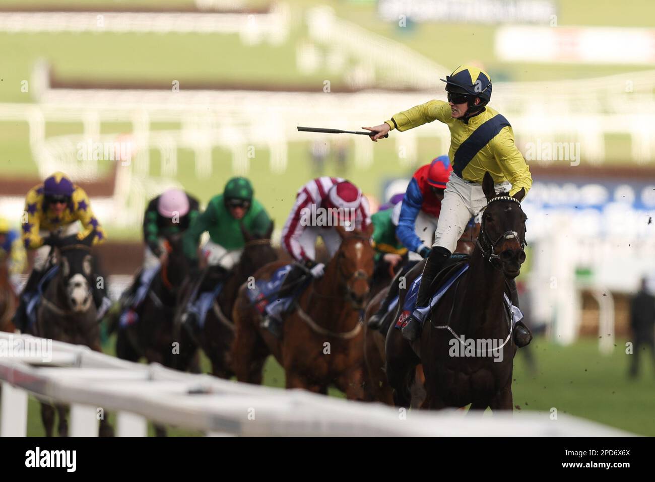 Prestbury Park, Cheltenham, UK on 14 March 2023. Marine Nationale T