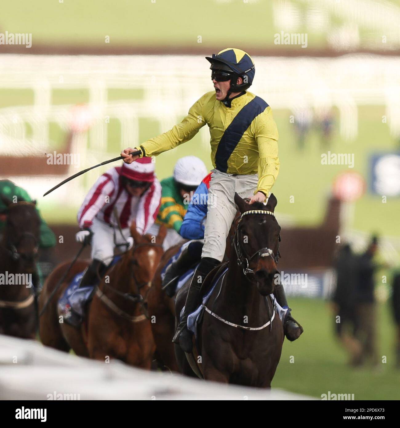 Prestbury Park, Cheltenham, UK on 14 March 2023. Marine Nationale T