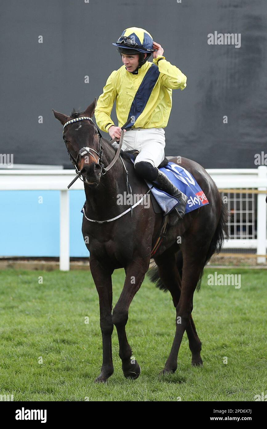 Prestbury Park, Cheltenham, UK on 14 March 2023. Marine Nationale T