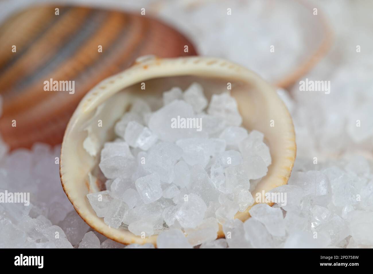 Sea salt in a closeup Stock Photo