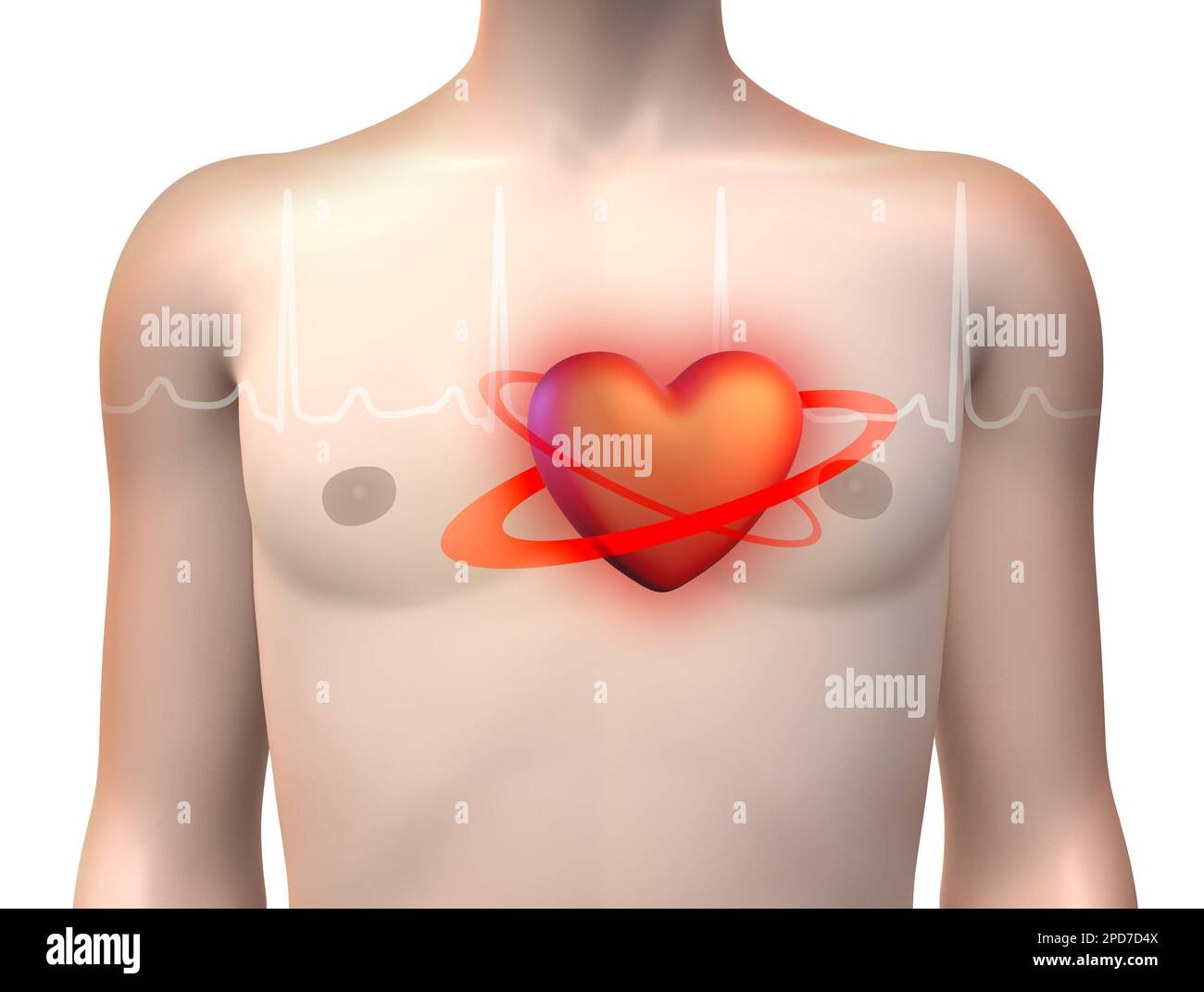 Human body with a stylized heart and an ECG line. Digital illustration, 3D render. Stock Photo