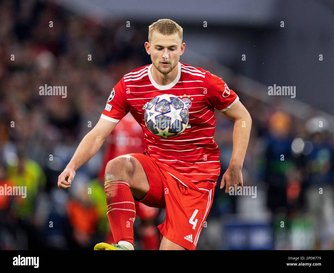 Bayern's #4 Matthijs DE LIGT. Soccer, Bayern - Paris. Soccer Champions League, FC Bayern Munich - Paris Saint Germain 2:0, round of 16, second leg, season 2022-2023, on March 8th in Munich, ALLIANZARENA, Germany. Stock Photo