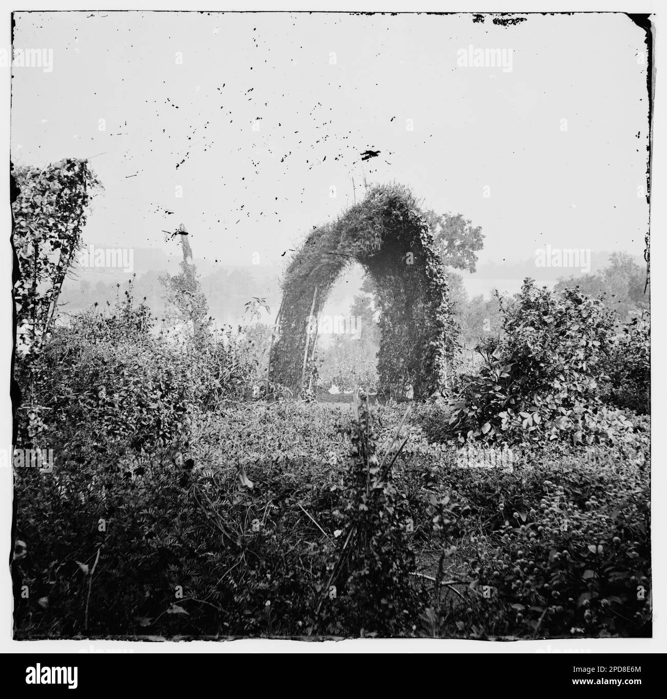 Chattanooga, Tennessee (vicinity). Monument garden. Civil war