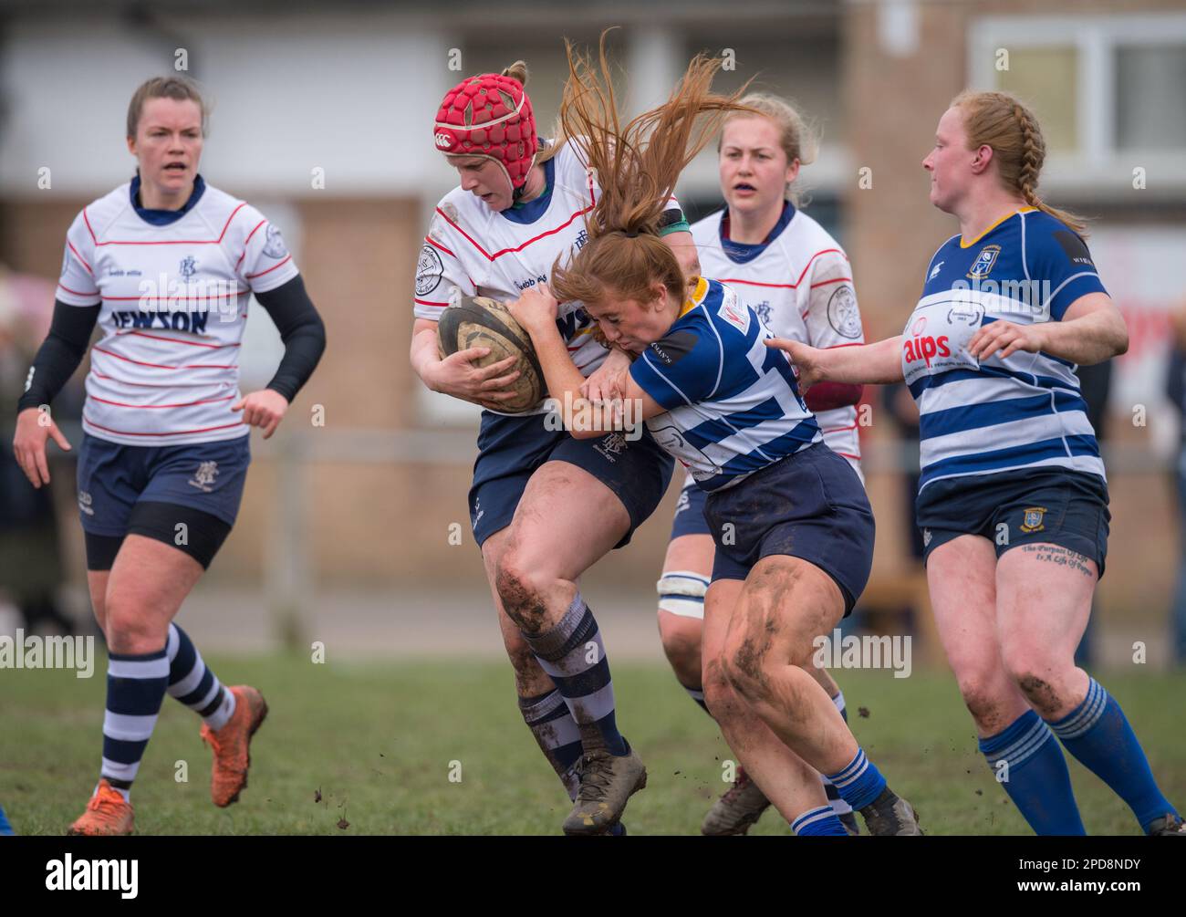Womens rugby football union hi-res stock photography and images - Alamy