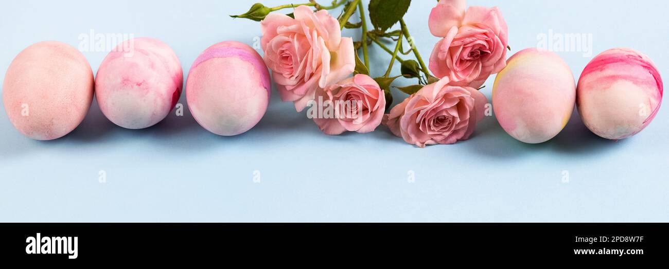 Pale pink Easter eggs with a sprig of pink roses on a pink background ...