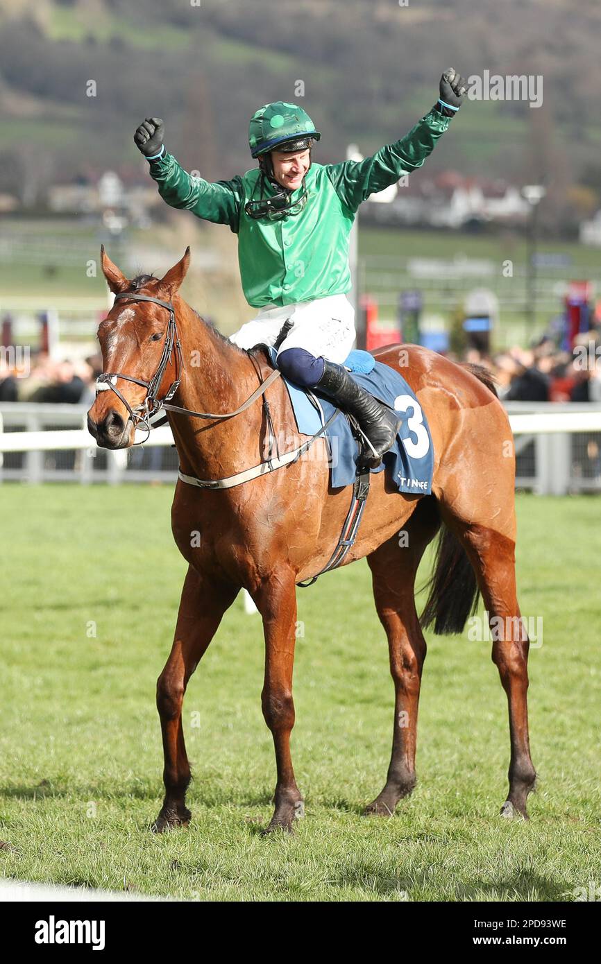 Prestbury Park, Cheltenham, UK on 14 March 2023. El Fabiolo T Willie