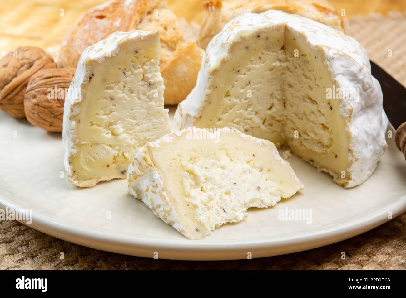 Cheese Collection Soft Cow French Cheese With Mold Gaperon Artisanal Lavored With Cracked 