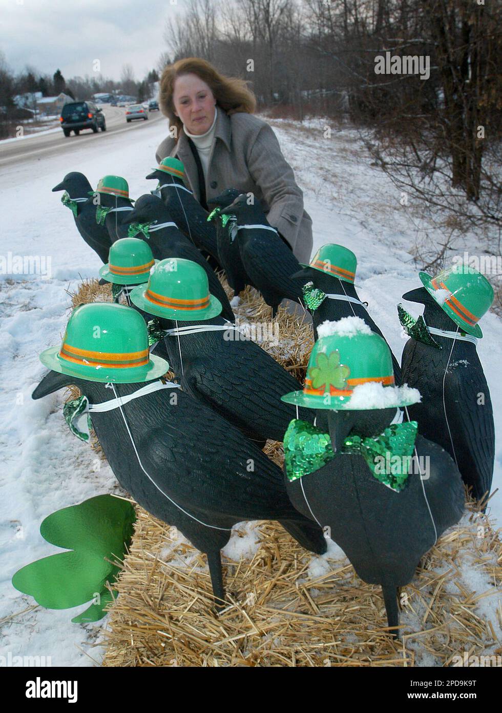 Crow lady" Marian Fritz dresses up plastic crows in green garb near her  South Hero, Vt. home Wednesday, March 15, 2006, in honor of Friday's St.  Patrick's Day. Fritz' flock of crows,