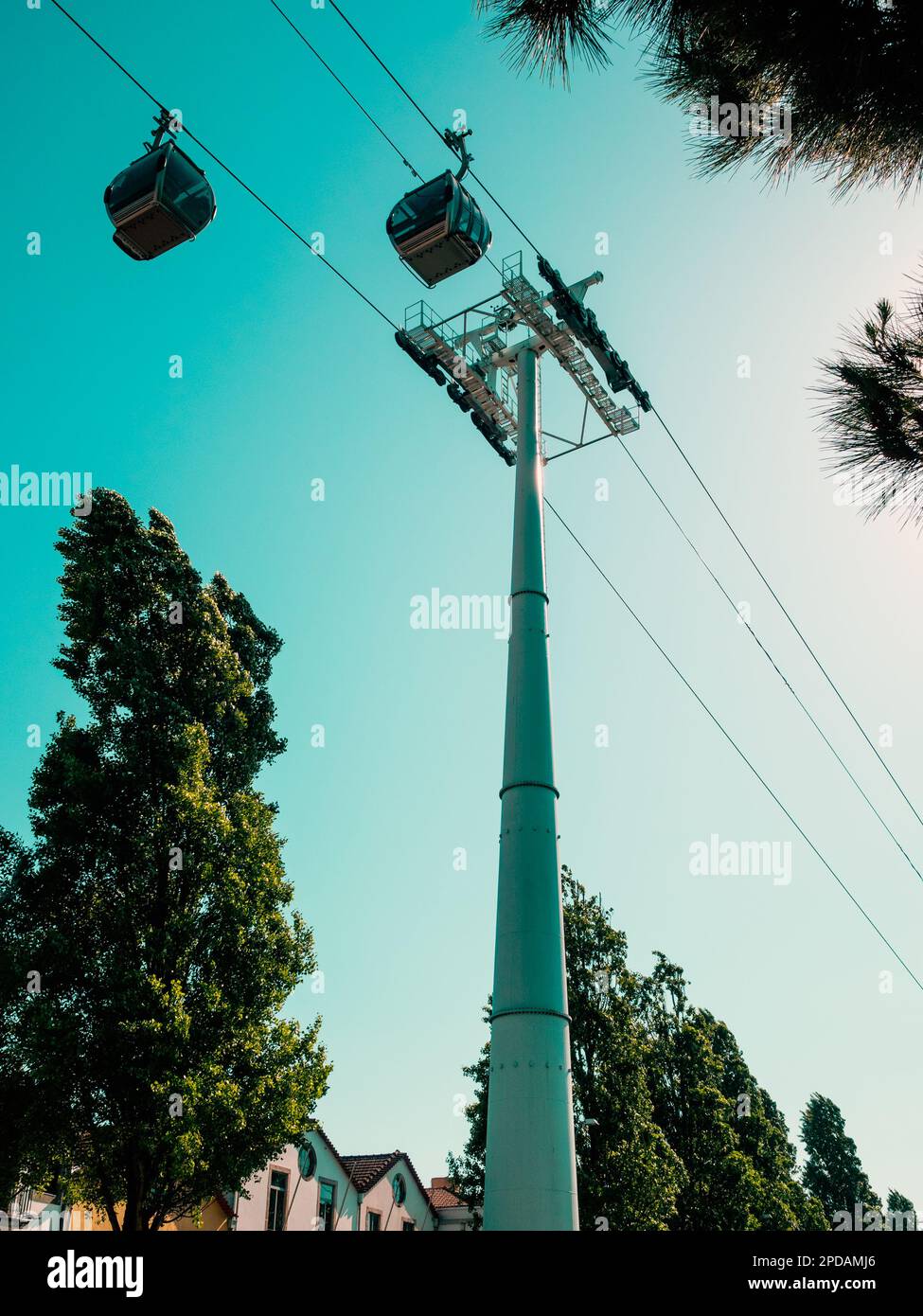 Upward shot of two cable cars against turquoise sky and trees Stock Photo