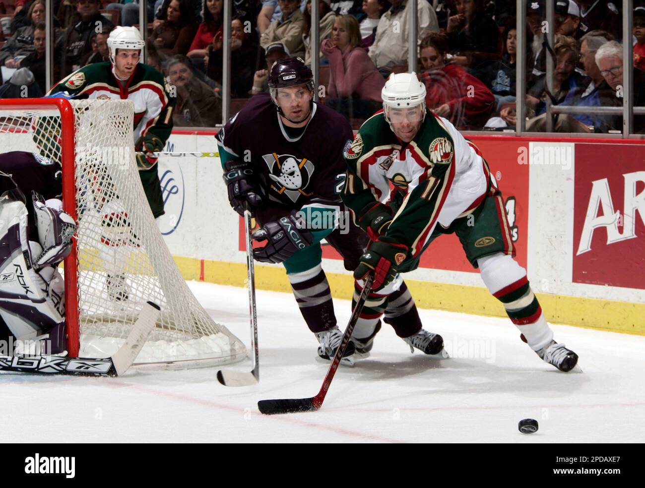 Pascal Duck Anaheim Mighty Ducks' Francois Beauchemin and Minnesota Wild's Pascal ...