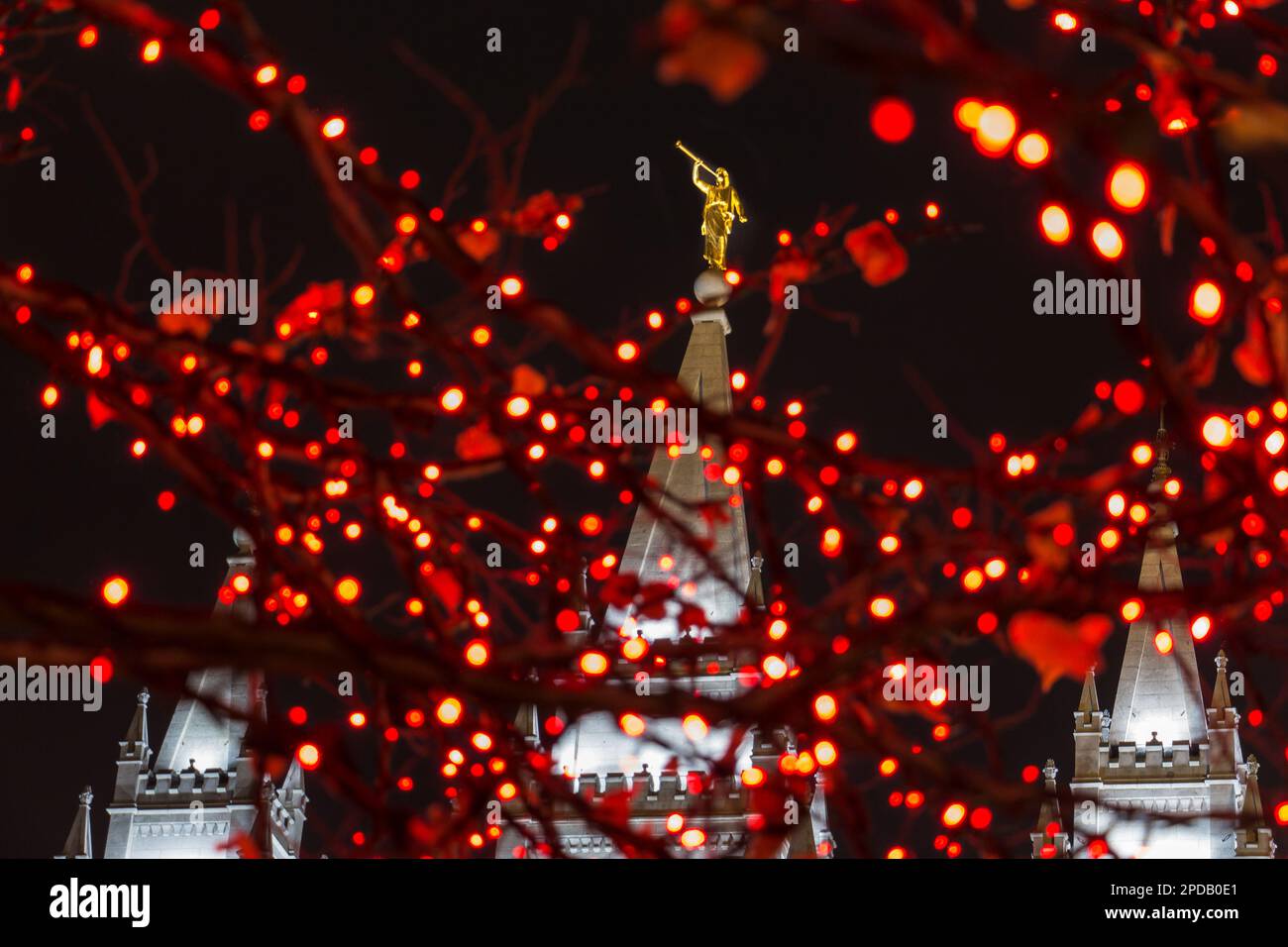 Mormon church maryland christmas lights