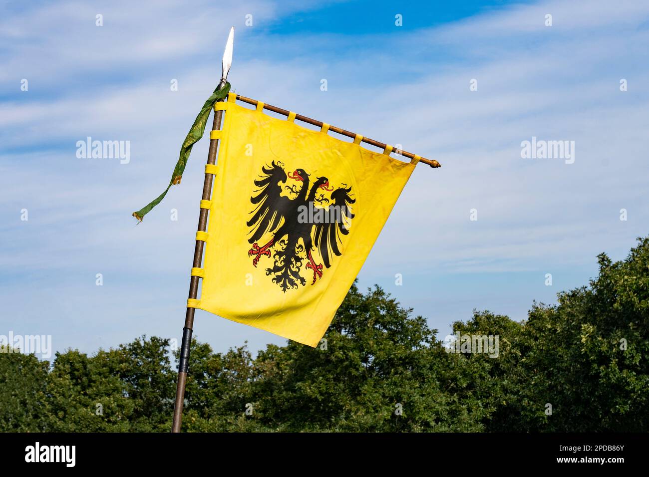 Austrian Habsburg coat of arms yellow historical flag Stock Photo Alamy