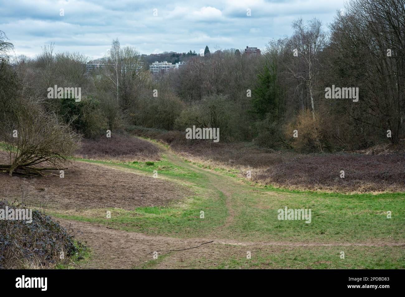 Wild hills and green lawns of the Kauwberg city nature reserve, Uccle