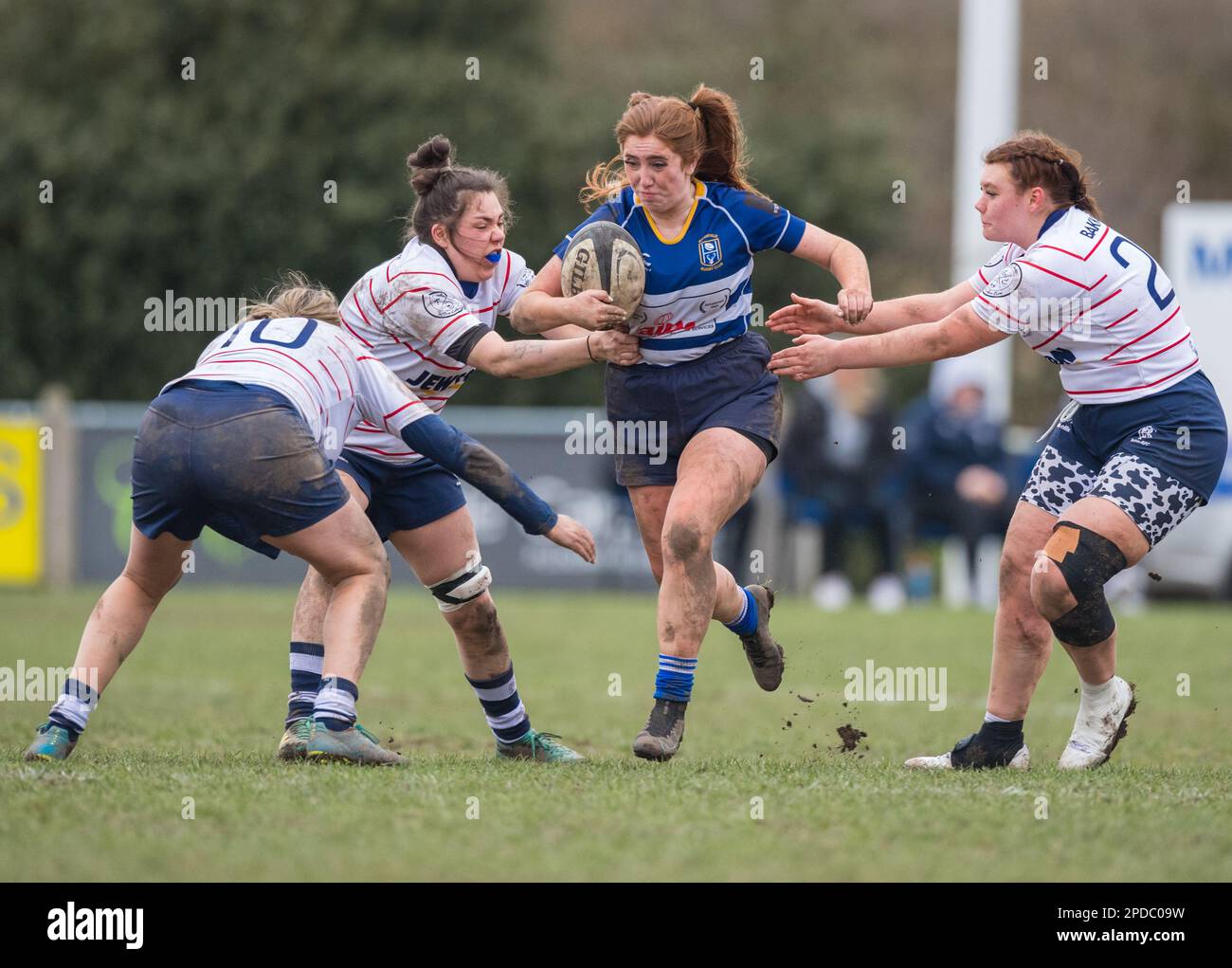 English womens amateur Rugby Union players playing in a league game. Stock Photo