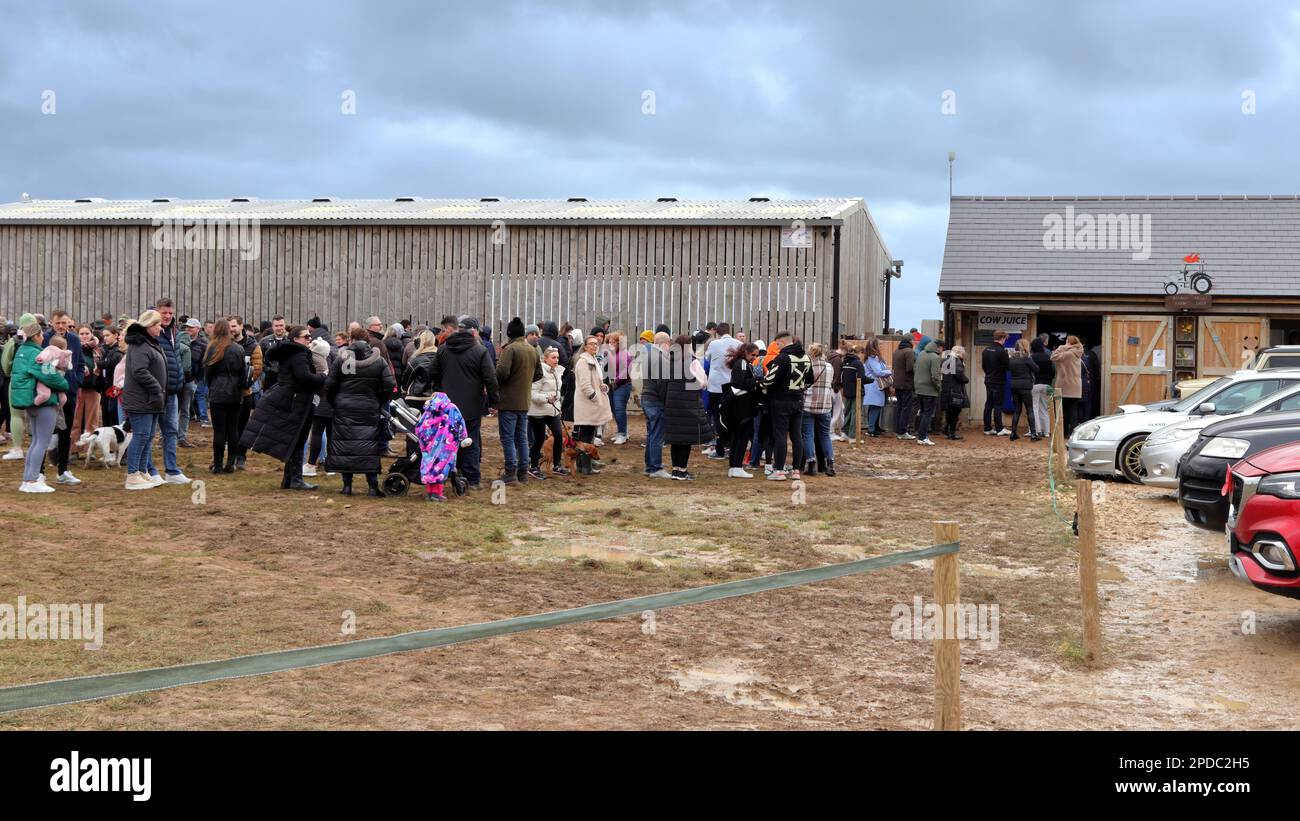 Chipping Norton, UK - March 12, 2023: Crowds of visitors queuing at  Diddly Squat Farm Shop opened in 2020 by Jeremy Clarkson. Stock Photo