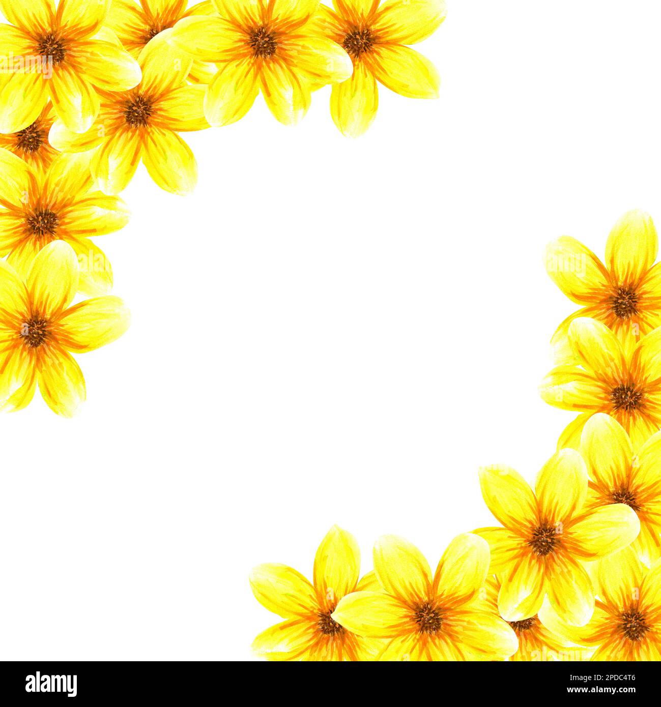 Frame with flowers. Watercolor abstract bright summer yellow flowers