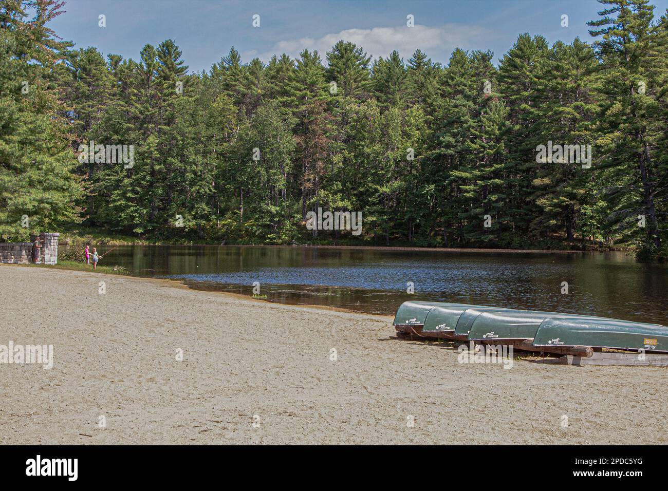 New Hampshire, Allenstown, Bear Brook State Park Stock Photo Alamy