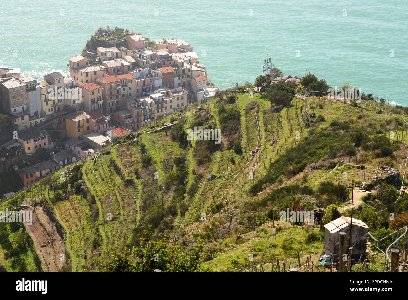 Manarola vineyards terraces. Cinque Terre National Park. Liguria. Italy Stock Photo