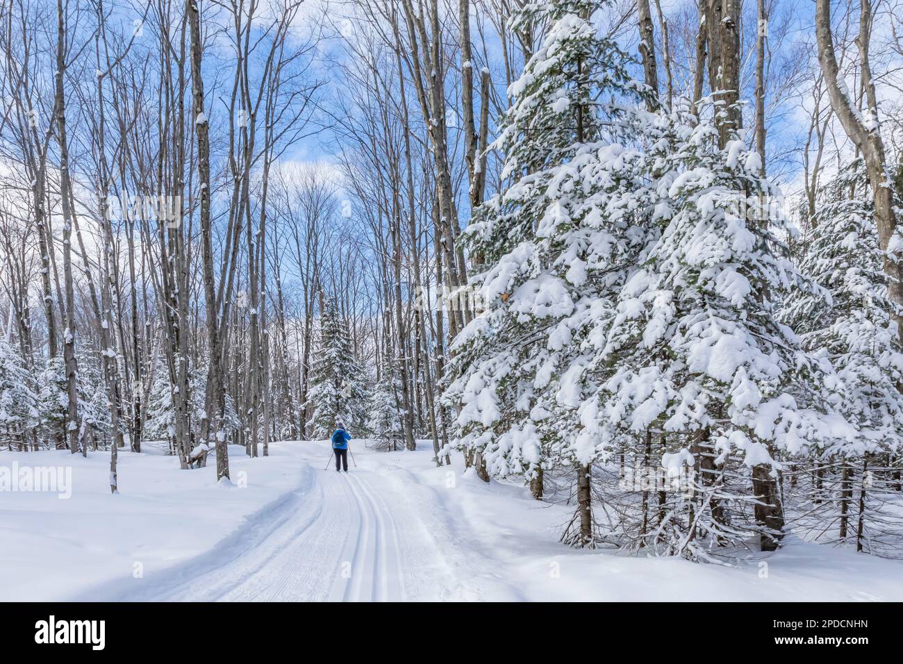 Karen Rentz skiing along Munising Ski Trails at Pictured Rocks National